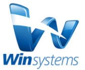 Win Systems SA DE CV