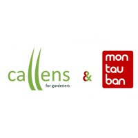 Callens Montauban