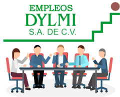 Dylmi sa de cv