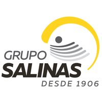 Grupo Salinas