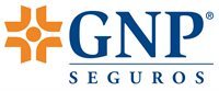 Grupo Nacional Provincial
