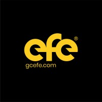 EFE Consulting Group