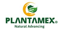 Plantas Mexicanas de Exportacion GT SA de CV