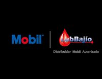 LUBRICANTES DEL BAJIO SA DE CV