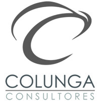 COLUNGA CONSULTORES