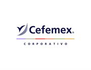 Coordinadora Empresarial de Mexico SCP
