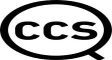 Consultoria CCS