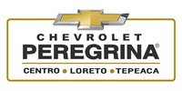 Peregrina Automotriz del Centro SA. DE CV.