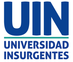 Universidad Insurgentes 