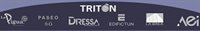 TRITON CORPORATIVO