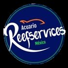 REEFSERVICES