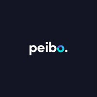 Peibo Fintech